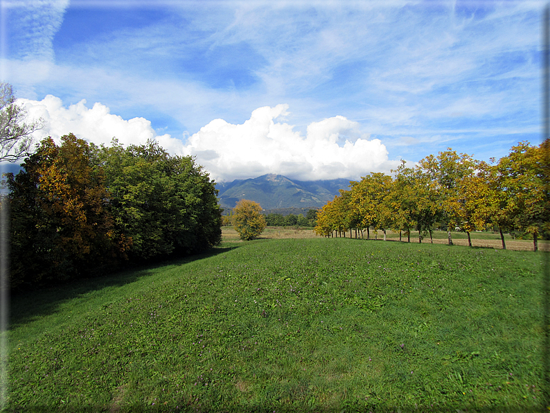 foto Paesaggi Autunnali tra le colline Fontesi